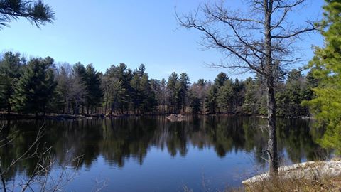 Nashua River Rail Trail2
