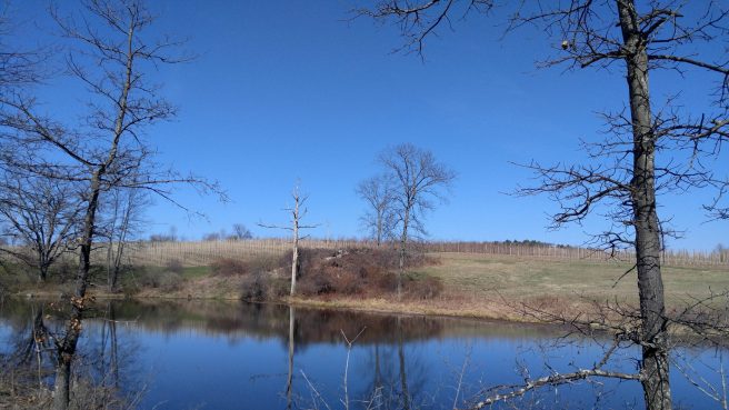 Nashua River Rail Trail4