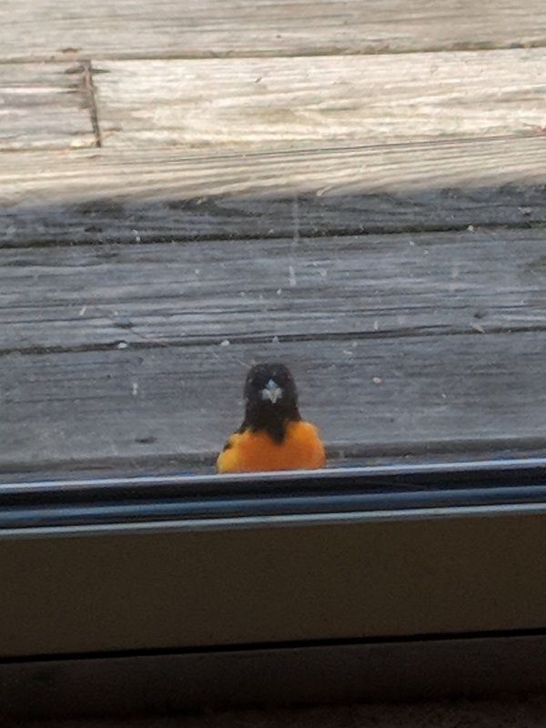 Maker:S,Date:2017-2-23,Ver:6,Lens:Kan03,Act:Lar02,E-Y