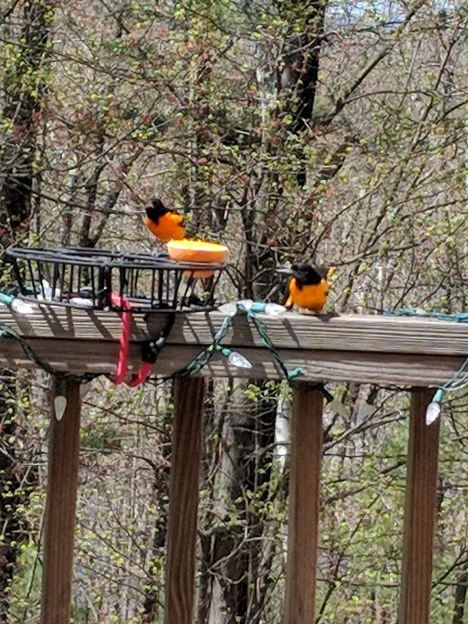 Maker:S,Date:2017-2-23,Ver:6,Lens:Kan03,Act:Lar02,E-Y